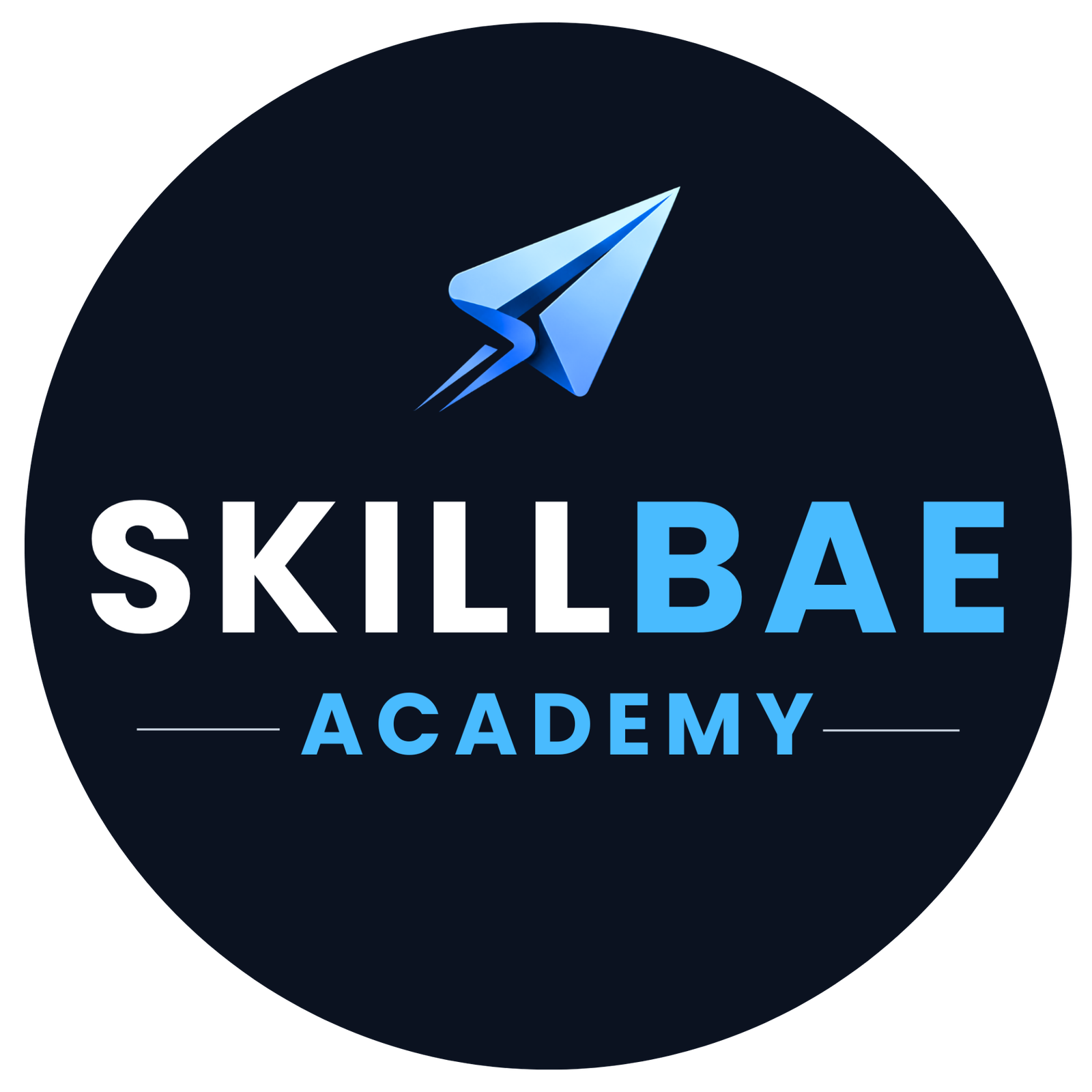 skillbae academy transparent